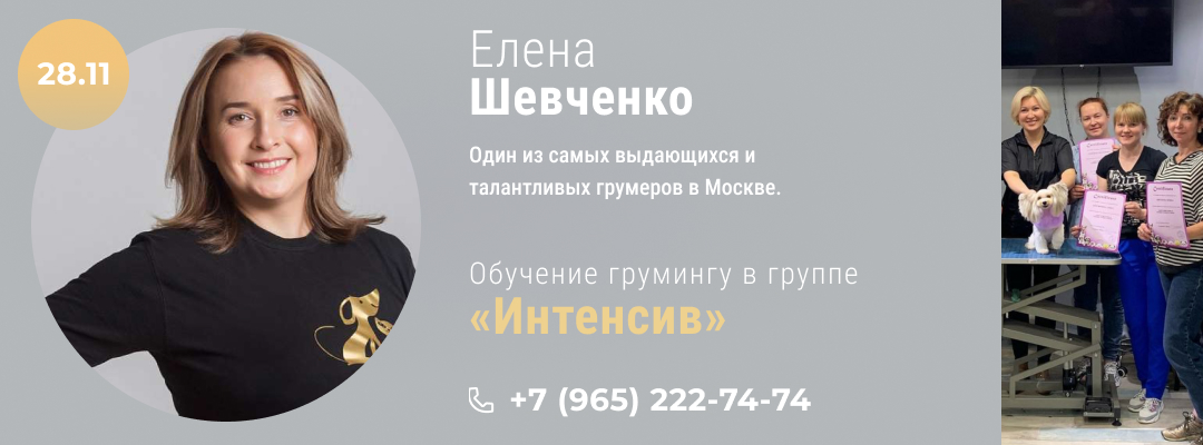 Обучение грумингу в группе «Интенсив» у Елены Шевченко с 28 ноября 2022 года