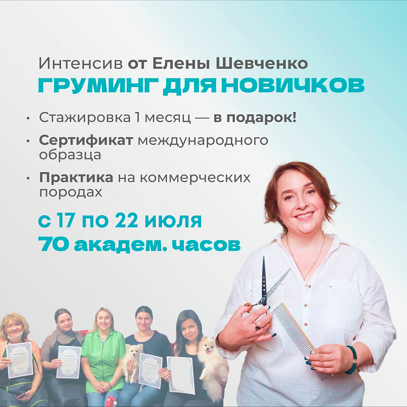 Обучение грумингу в группе «Интенсив» у Елены Шевченко с 17 июля
