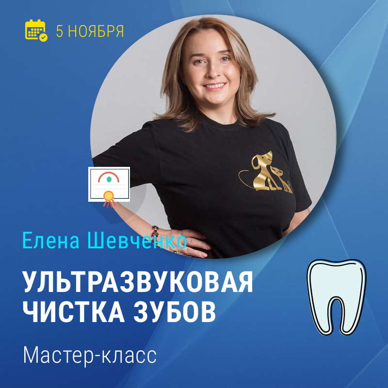 Мастер-класс Елены Шевченко "Ультразвуковая чистка зубов"