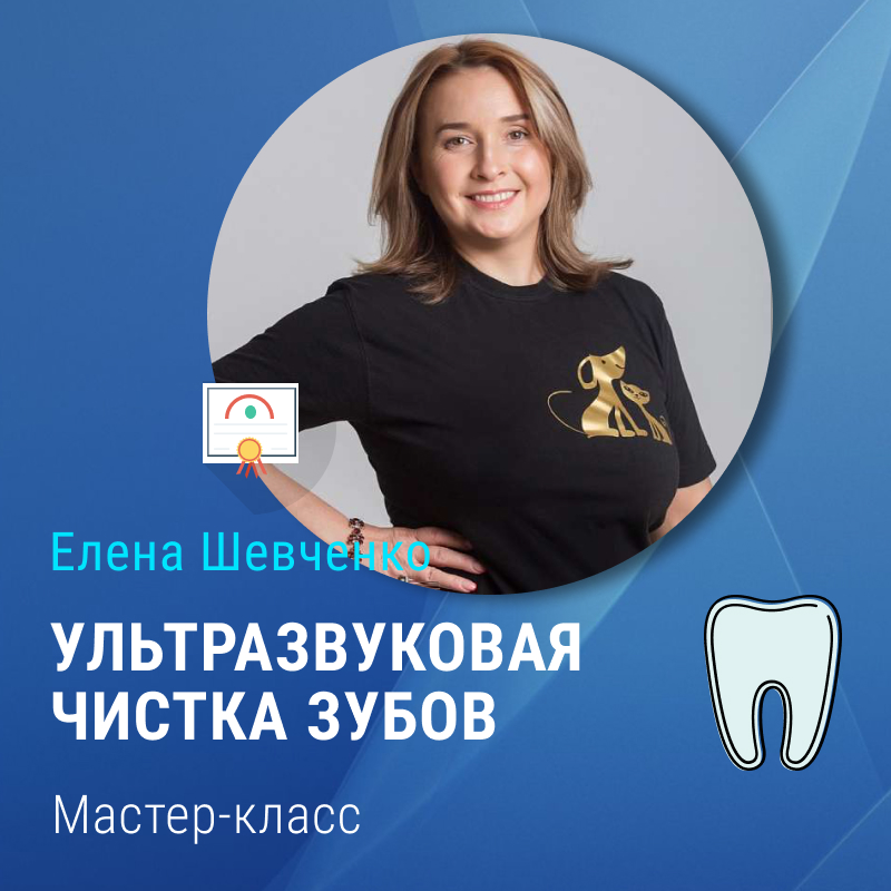 Мастер-класс Елены Шевченко "Ультразвуковая чистка зубов"