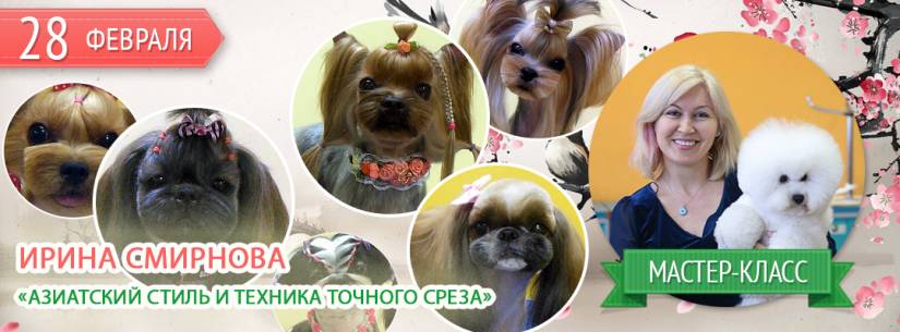 Азиатский стиль и техника точного среза. Мастер-класс Смирновой Ирины 28 февраля 2019 Азиатский стиль и техника точного среза. Мастер-класс Смирновой Ирины 28 февраля 2019