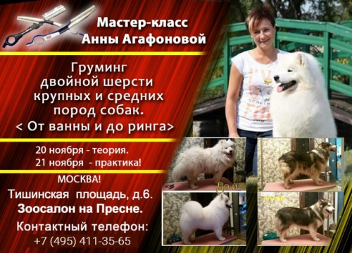 Мастер-класс Анны Агафоновой Мастер-класс Анны Агафоновой