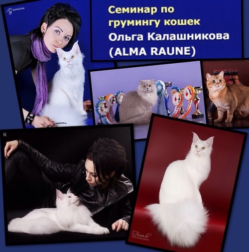 Семинары Ольги Калашниковой (ALMA RAUNE) Семинары Ольги Калашниковой (ALMA RAUNE)