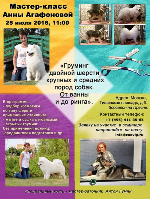 Мастер-класс Анны Агафоновой Мастер-класс Анны Агафоновой