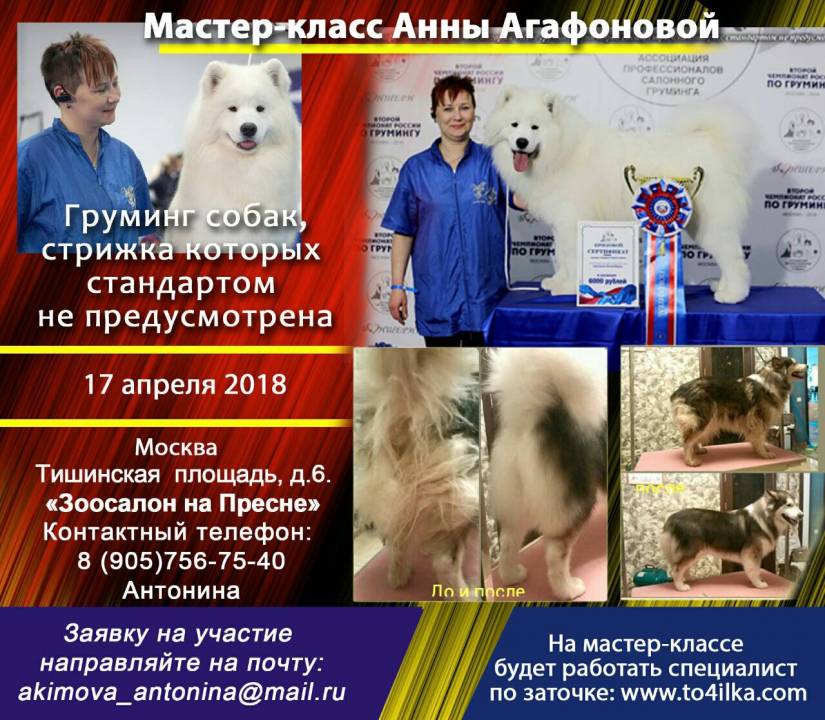 Мастер-класс Анны Агафоновой 17-го апреля 2018 Мастер-класс Анны Агафоновой 17-го апреля 2018