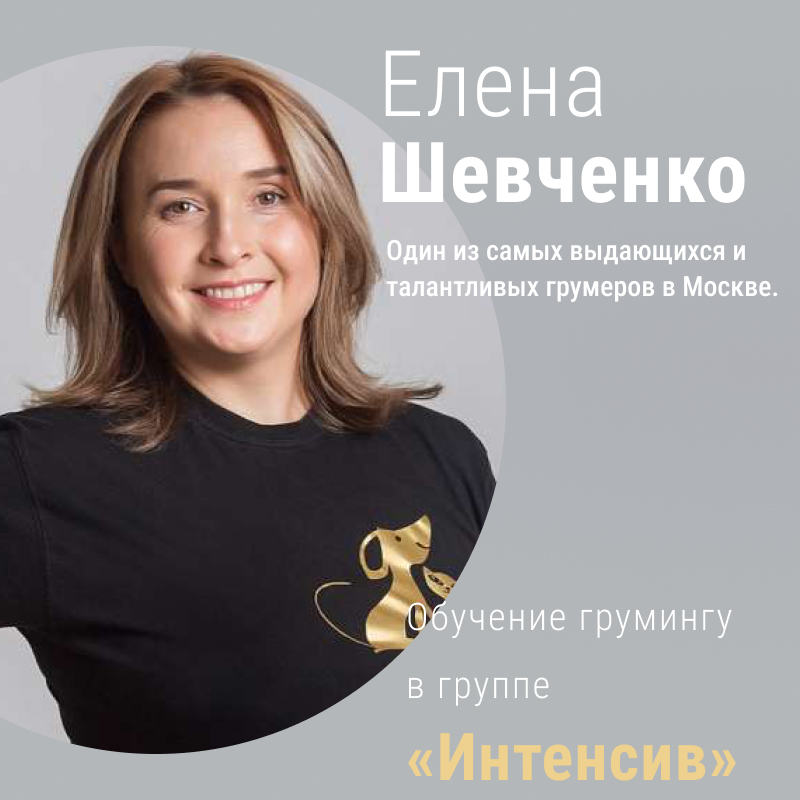 Обучение грумингу в группе «Интенсив» у Елены Шевченко с 14-го февраля 2022 года