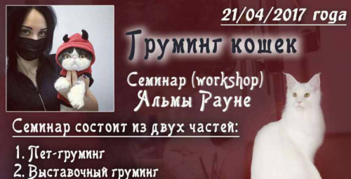 Семинар по грумингу кошек Семинар по грумингу кошек