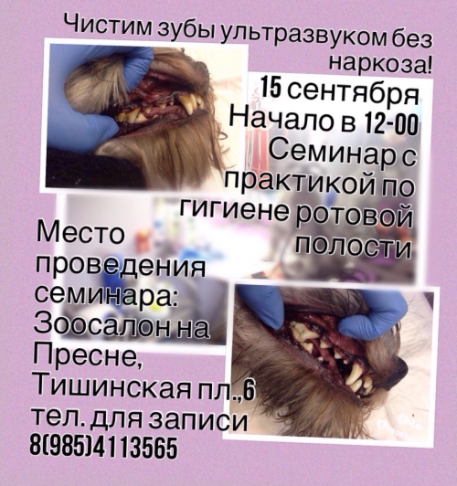 Семинар с практикой по гигиене ротовой полости Семинар с практикой по гигиене ротовой полости