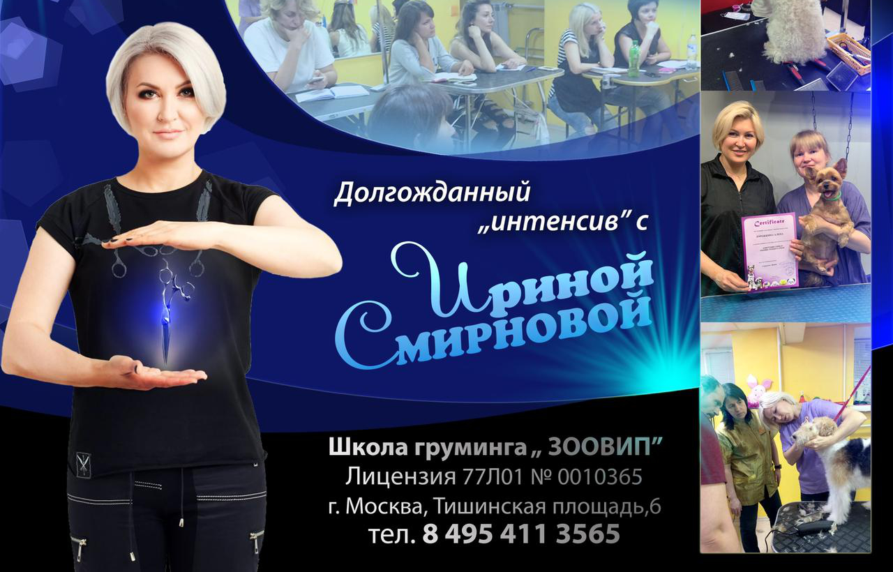 Обучение грумингу в группе «Интенсив» с Ириной Смирновой