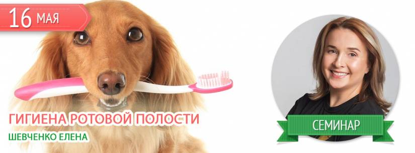 Семинар по гигиене ротовой полости 16 мая Семинар по гигиене ротовой полости 16 мая