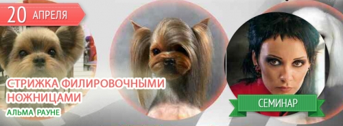Стрижка филировочными ножницами в технике плавных переходов Стрижка филировочными ножницами в технике плавных переходов