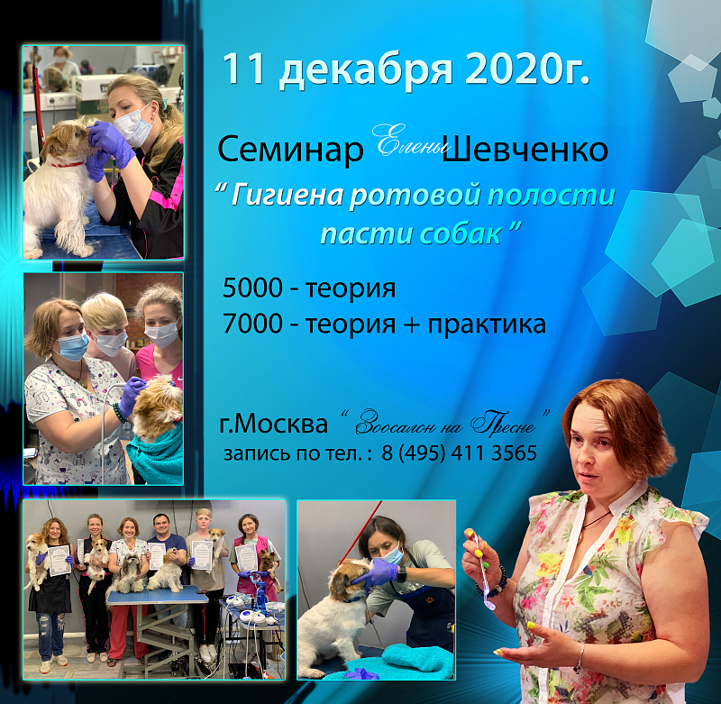 Семинар Елены Шевченко "Гигиена ротовой полости пасти собак"