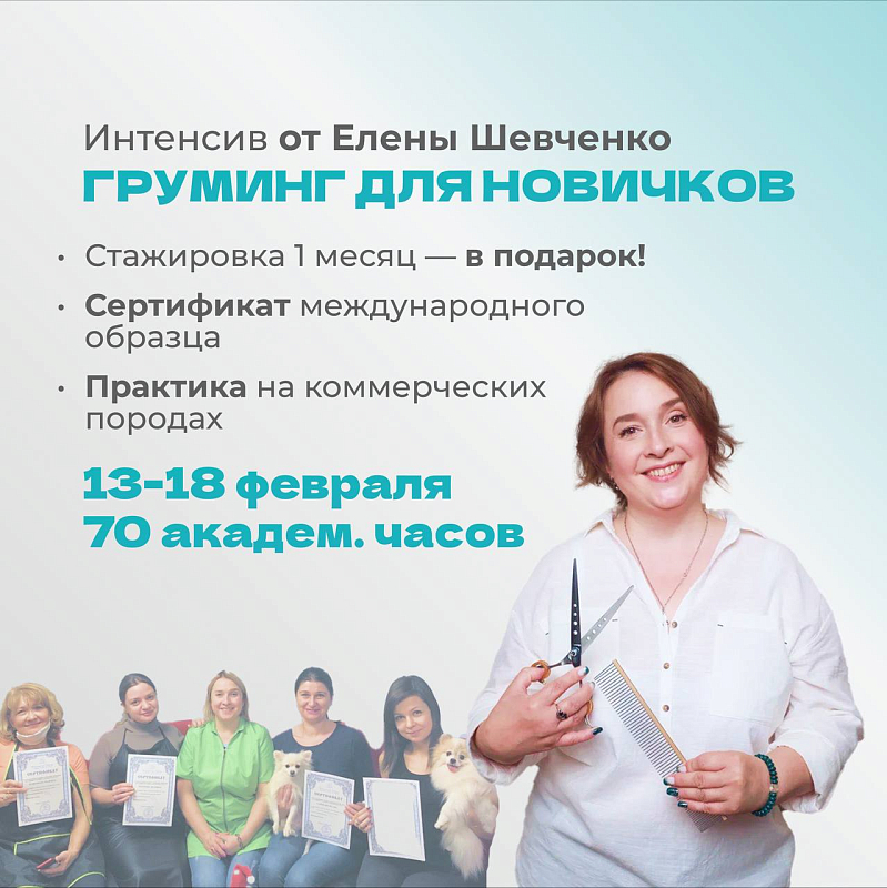 Обучение грумингу в группе «Интенсив» у Елены Шевченко с 13 февраля
