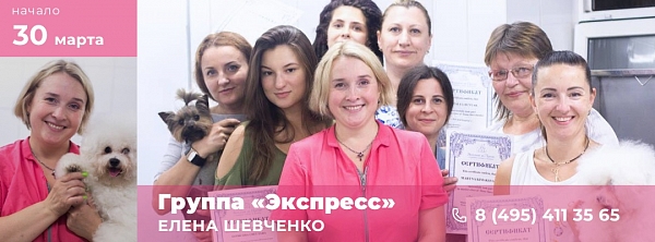 Обучение грумингу в группе «Интенсив» у Елены Шевченко с 30-го марта 2020 года