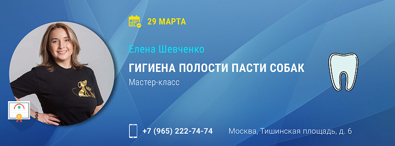 Семинар Елены Шевченко "Гигиена ротовой полости пасти собак"