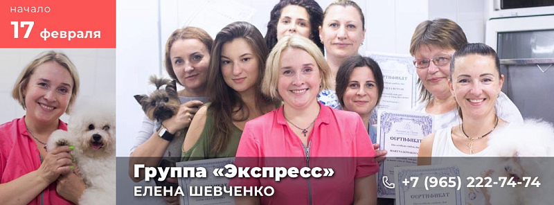 Обучение грумингу в группе «Интенсив» у Елены Шевченко с 17 февраля 2020