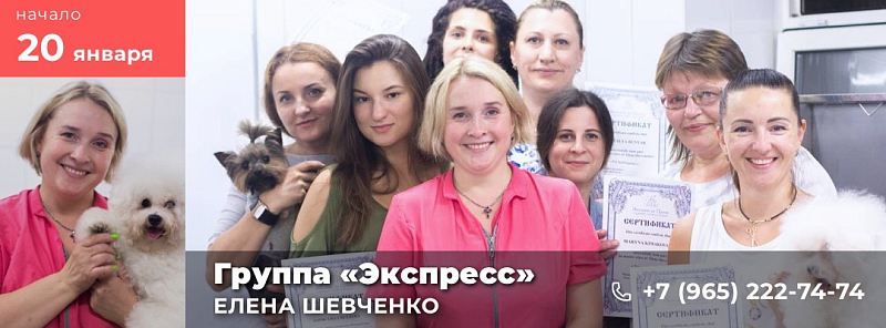 Обучение грумингу в группе «Интенсив» у Елены Шевченко с 20 января 2020